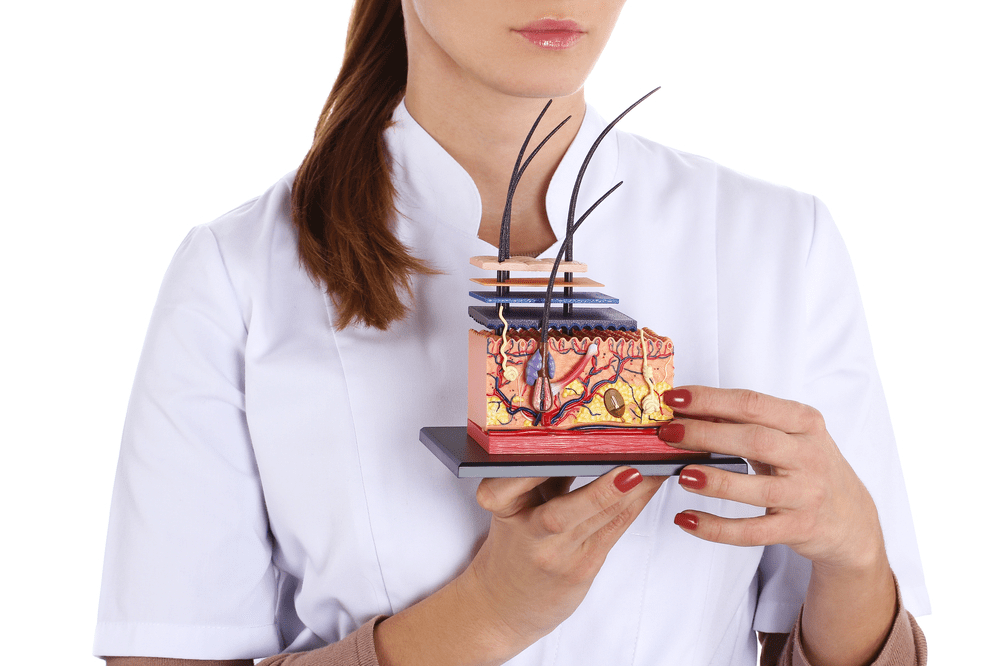 Трихология простыми словами, 2 дня